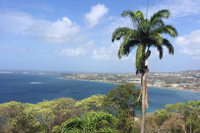 Full Island Tour (Including Lunch & Snorkeling) - Six good reasons to choose this Tobago tour