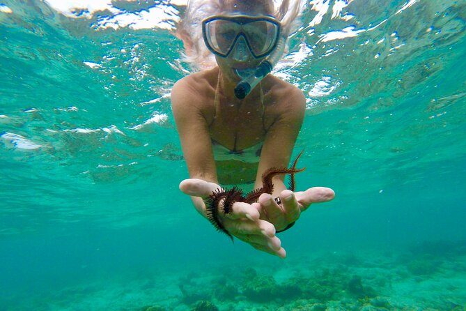 Glass Bottom Nylon Pool Tour in Buccoo Reef - Setting out from Buccoo Bay