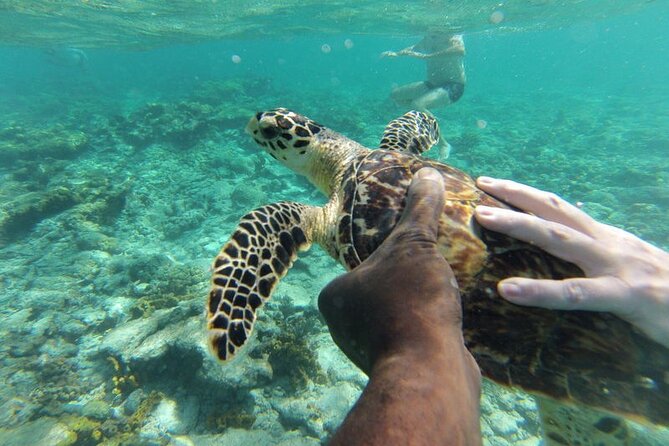 Glass Bottom Nylon Pool Tour in Buccoo Reef - Guides, boats, and the human side of the trip