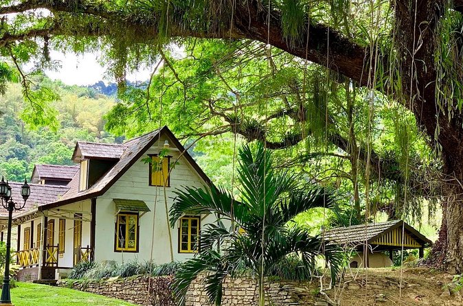 Half-day 3-Course Cocoa Lunch Tour in Trinidad - Lunch at Cafe Mariposa Gardens