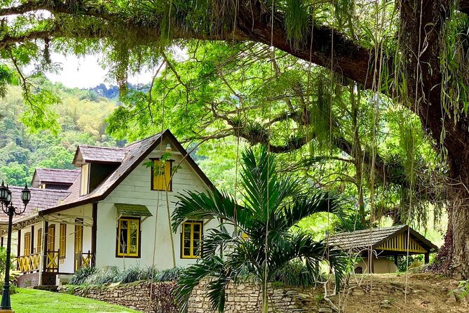 Half-day 3-Course Cocoa Lunch Tour in Trinidad - The drive from Port of Spain to Lopinot