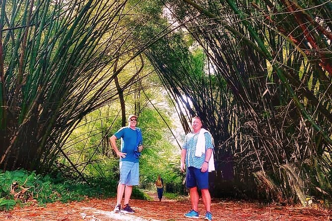 Half Day Group Tour to Tobago Atlantic Coast - Who will enjoy this Tobago excursion