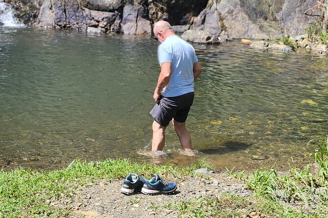 Half Day Tobago Tours with Transfers - The rainforest drive is part of the experience
