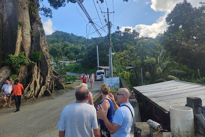 Half Day Tobago Tours with Transfers - Mt Dillon gives you a wide view of Castara