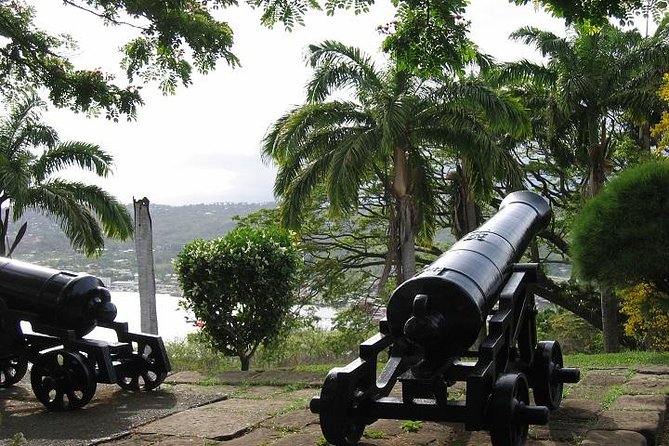Highlights of Tobago Tour - What This Tobago Tour Actually Gives You