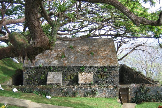 Highlights of Tobago Tour - Why The Guide Matters So Much