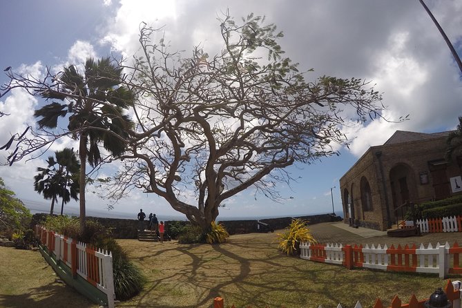 Highlights of Tobago Tour - Timing, Transport, And What To Wear