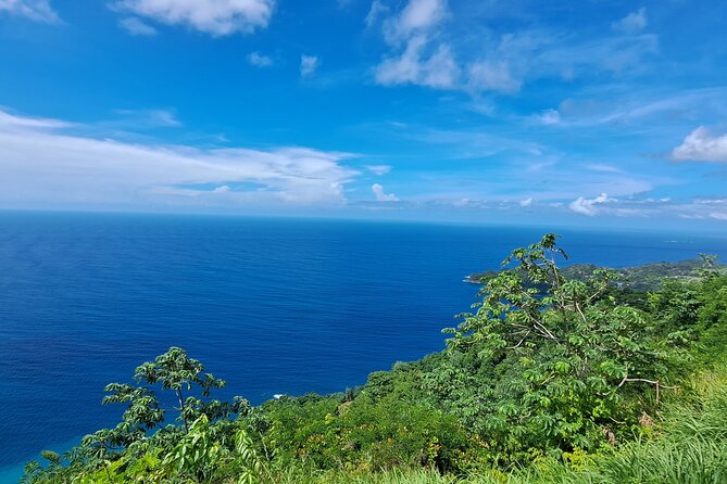 Island Tour (Food and Drinks include) - What makes this Tobago tour worth considering