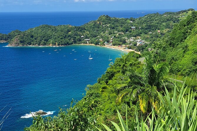 Island Tour (Food and Drinks include) - Englishman’s Bay brings the classic Tobago beach stop