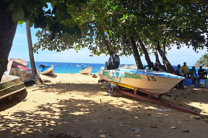 Island Tour (Food and Drinks include) - From Buccoo Road to Tobago’s coast