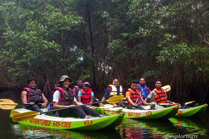Kayak Adventure in the Second Largest Swamp of Trinidad and Tobago - Key points at a glance