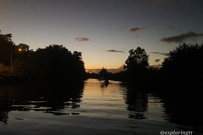 Kayak Adventure in the Second Largest Swamp of Trinidad and Tobago - Watching for scarlet ibis, flamingos, and smaller creatures
