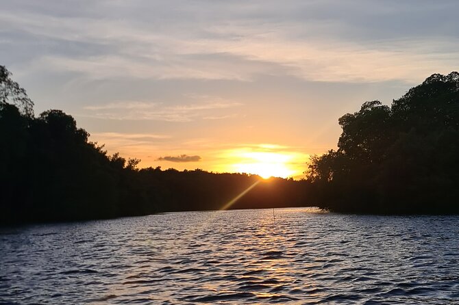 Kayak Adventure in the Second Largest Swamp of Trinidad and Tobago - Returning by flat-bottomed boat