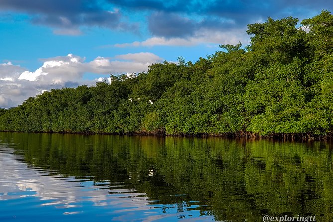 Kayak Adventure in the Second Largest Swamp of Trinidad and Tobago - What Dominic adds to the trip