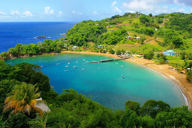 Little Tobago Glass Bottom Boat Tour - Key points to know before booking