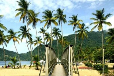 Maracas Beach Excursion & City Pass by tour