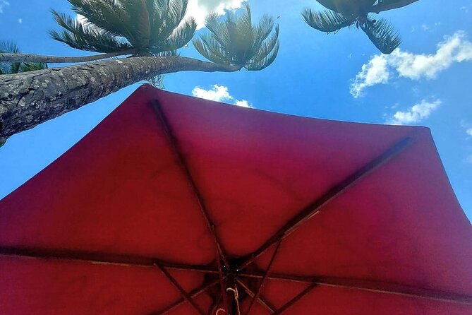 Maracas Beach Excursion & City Pass by tour - Queen’s Park Savannah adds room to breathe