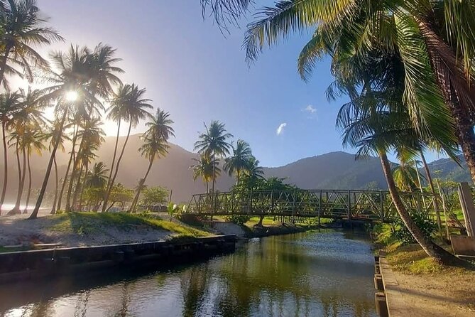 Maracas Beach Excursion & City Pass by tour - How the $59 price works for different kinds of visitors