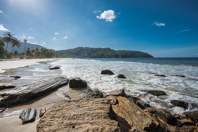 Maracas Beach Trip - Cruise ship timing needs careful planning
