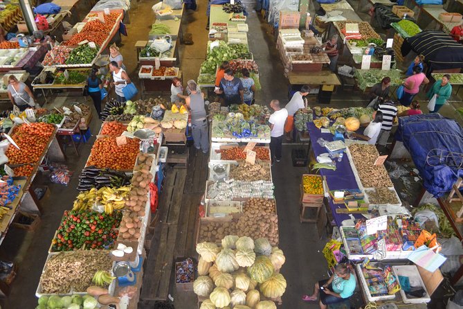 Mini Island Tour of Trinidad - Key points to know before booking