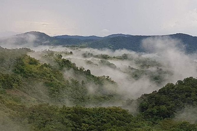 Paramin Jeep Tour in Trinidad - Climbing to La Vigie Paramin at 2,000 feet