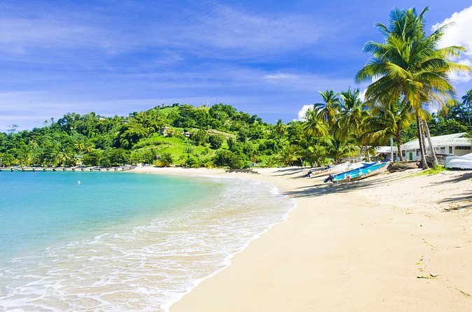 Partlatuvier Bay Day Trip with Lunch - Who Will Enjoy This Tobago Beach Day?