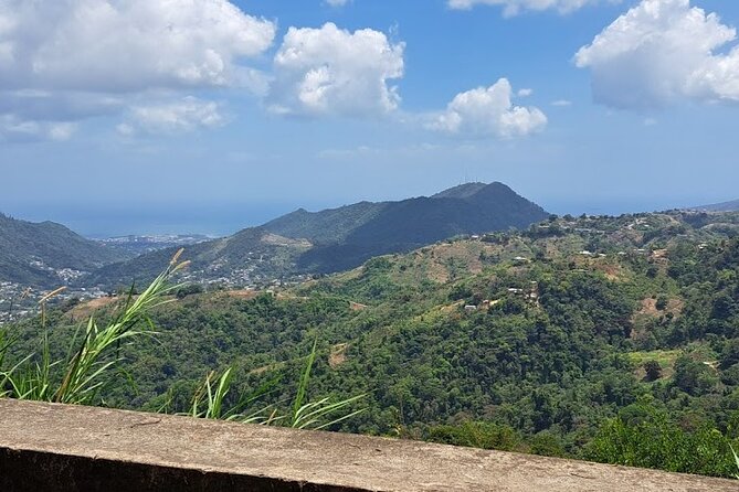 Personalized Private Tour The Paramin Hills - City views from a quieter height