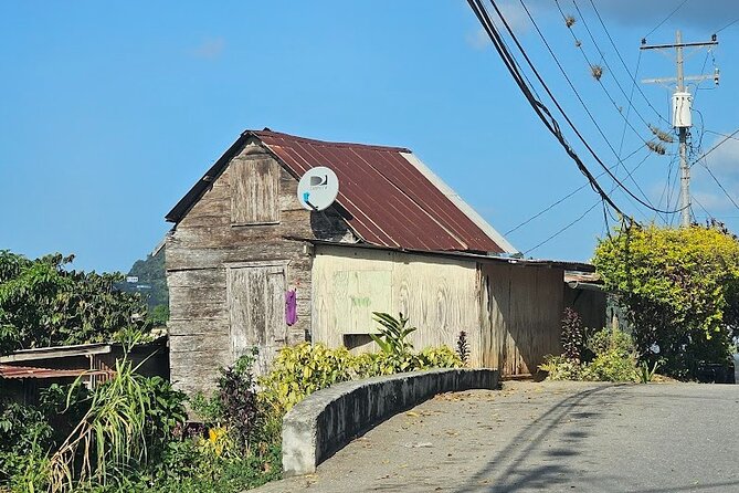 Personalized Private Tour The Paramin Hills - Seasonings, agriculture, pastelles, and wine