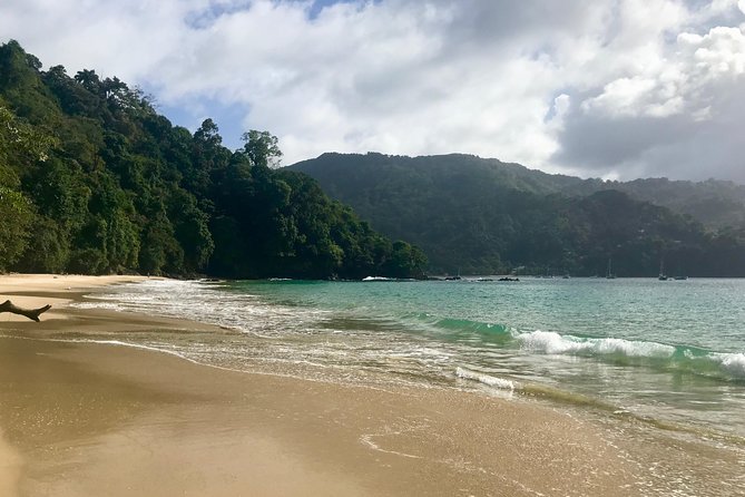 Pirate's Bay Day Trip with Lunch - Reaching Pirate’s Bay near Charlotteville