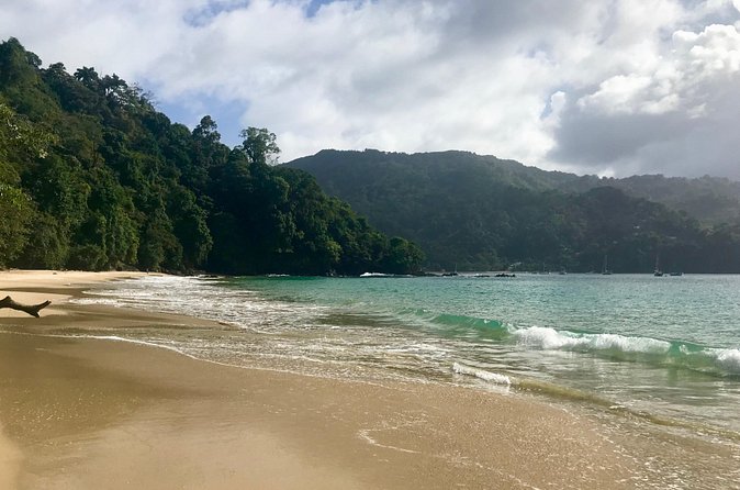 Pirate's Bay Day Trip with Lunch - Caribbean lunch and the value of the $185 price