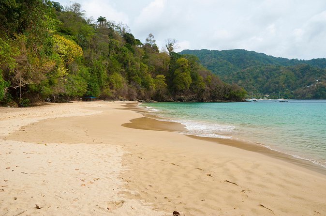 Pirate's Bay Day Trip with Lunch - Why the six-person limit changes the day