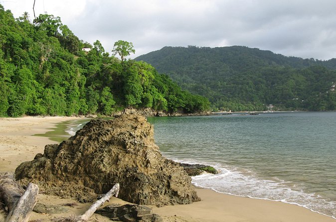 Pirate's Bay Day Trip with Lunch - Who will enjoy this half-day outing