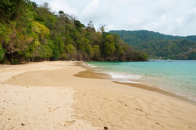 Pirate's Bay Day Trip with Lunch - Practical details to know before booking