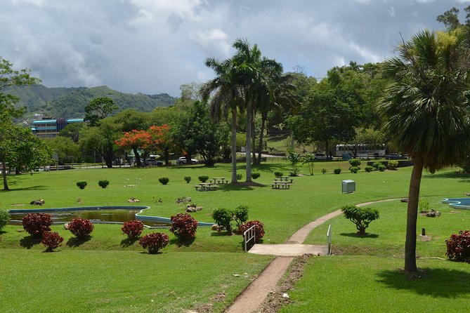 Port of Spain and Fort George Sightseeing Tour - Guides make the difference