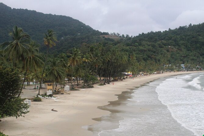 Port of Spain City Highlights and Maracas Beach - Bake and shark, plus the practical food details