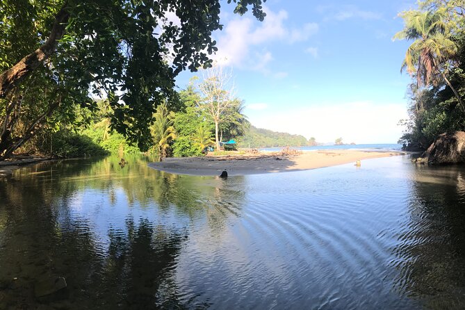 Private Hike Tour to Paria Waterfall - The early start from Trinidad’s North Coast