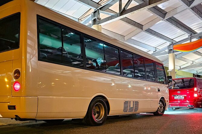 Private Transfer from Piarco Airport to San Fernando - Why the private format can be worth $95