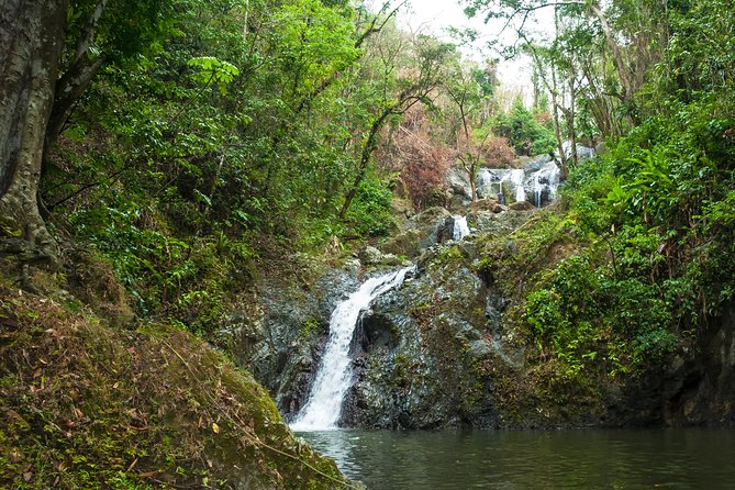 Rainforest Tour - Is $140 a fair price in Tobago?