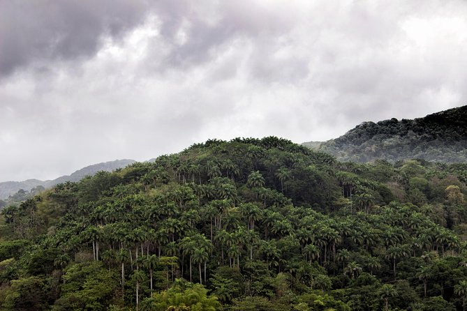 Rainforest Tour - Who will enjoy this tour most?