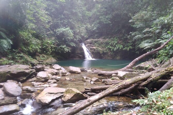 Rio Seco Waterfall Day Adventure - Following the Salybia River into Matura Forest