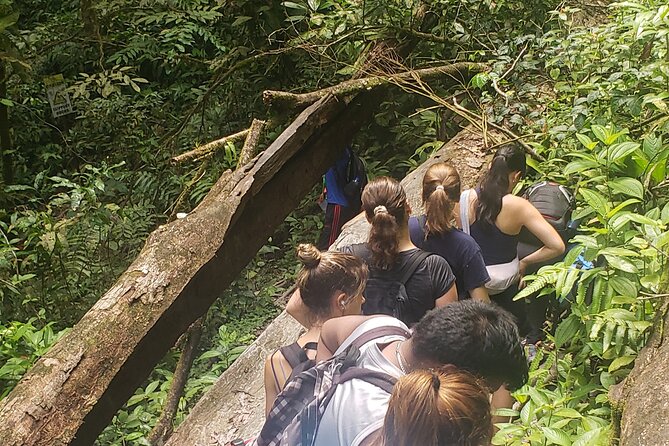 Rio Seco Waterfall Day Adventure - Cancellation and booking advice