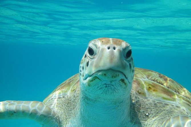 Snorkeling Tour (with Light Refreshments) - Key points to know before you book