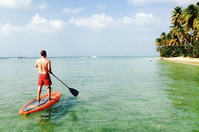 Stand Up Paddle Lessons - Key points to know before you book