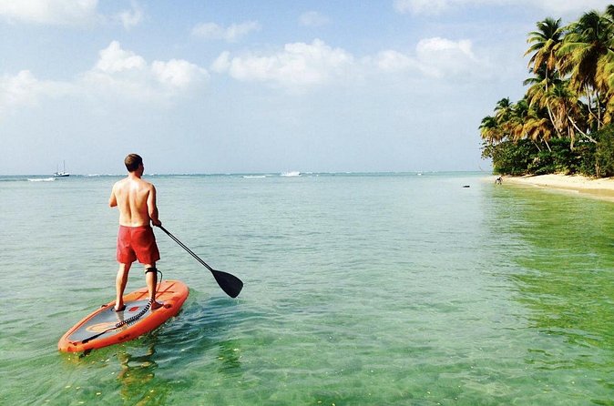 Stand Up Paddle Lessons - The short coastal paddle