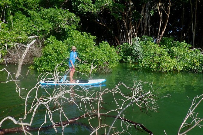 Stand Up Paddle Lessons - What the $61.54 price buys you