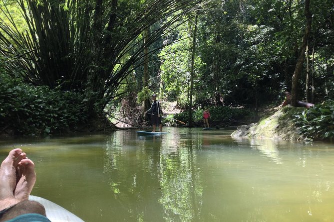 Stand Up Paddle Lessons - The first 20 minutes: learning on land