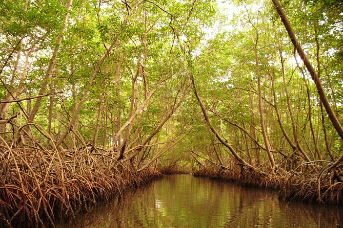 Sunset Boat Tour into Caroni Wetlands - The ride from Port of Spain to the water