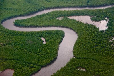 Sunset Boat Tour into Caroni Wetlands