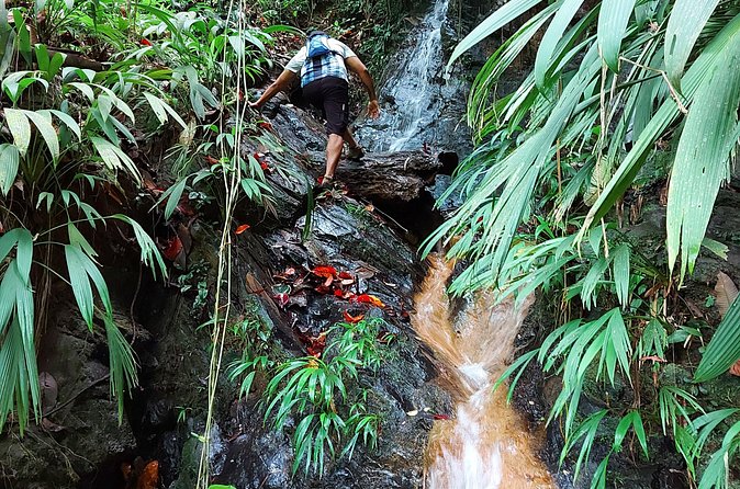The Grand Circle 24-Hour All-Inclusive Island Experience - Villages, waterfalls, and the quieter north