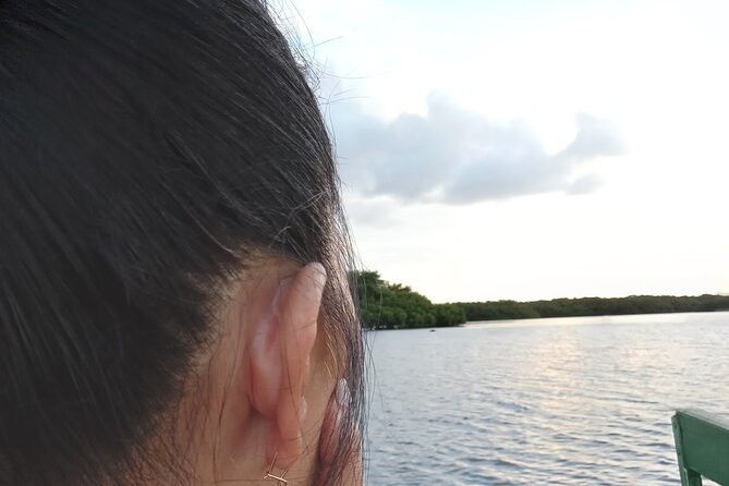 The Scarlet Ibis - Caroni Swamp Tour - Ariapita Avenue Adds Doubles to the Afternoon